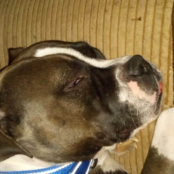 Meet your Posher, Jeff - Picture 2 of 3